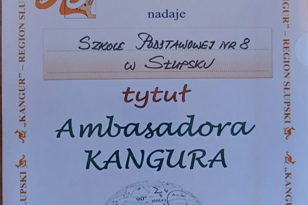 kangur468D9D71-C1EB-E18C-5E45-B99049B7EC58.jpg