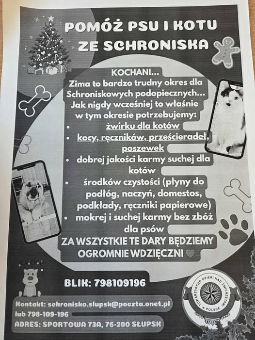 590753855 1445472377587944 5264711356059738597 n