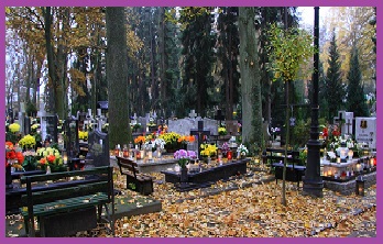 obrazek przedstawia groby na cmentarzu