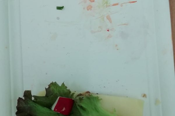 Wiosenne kanapki w 1 b