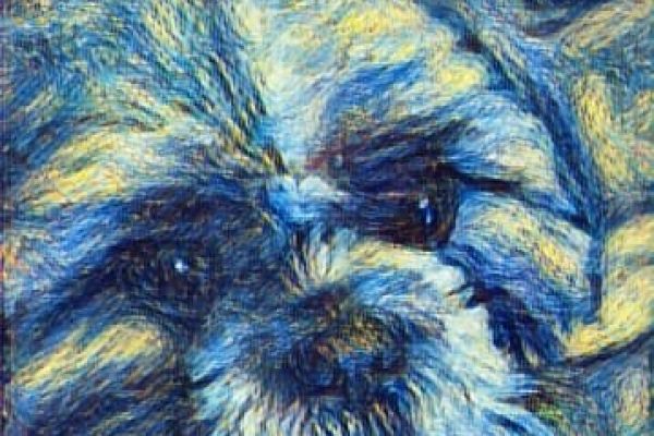 278067214-368004048572087-1948432710117834970-n36DBCCB1-F3C9-D649-A324-B78BFED56E69.jpg