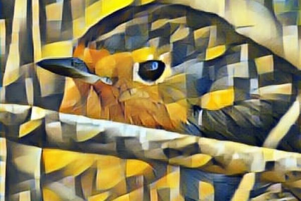 278081363-517580259960446-5806210594296145504-n681E34F7-EF1D-B080-6D0F-D789EC6B6001.jpg