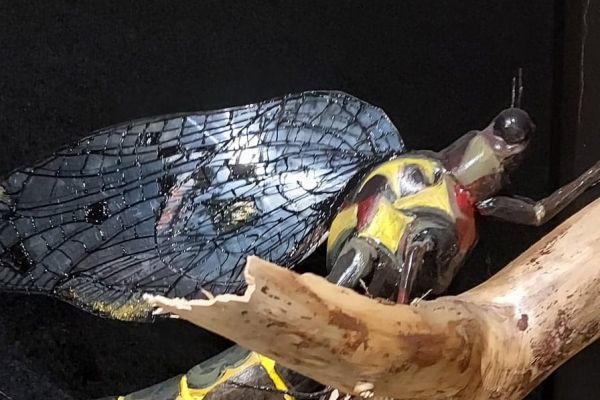 2A  w  Parku Krajobrazowym Dolina Słupi