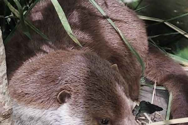 2A  w  Parku Krajobrazowym Dolina Słupi