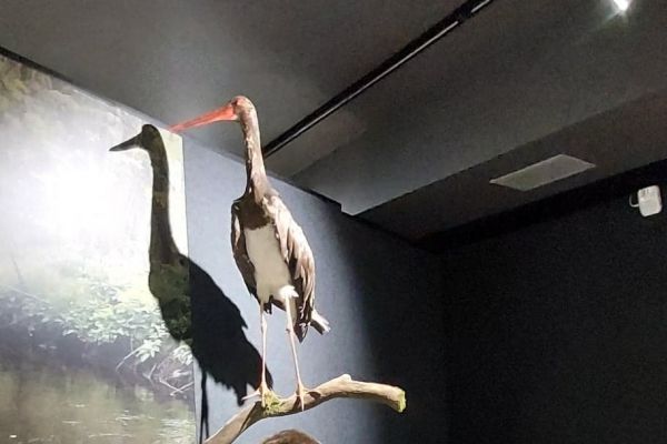 2A  w  Parku Krajobrazowym Dolina Słupi