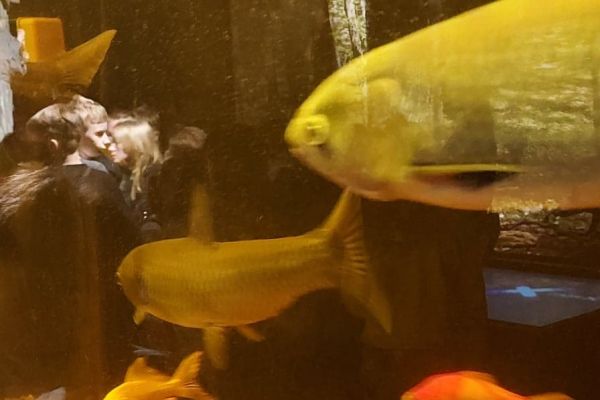 2A  w  Parku Krajobrazowym Dolina Słupi