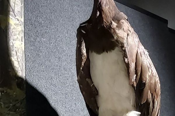 2A  w  Parku Krajobrazowym Dolina Słupi