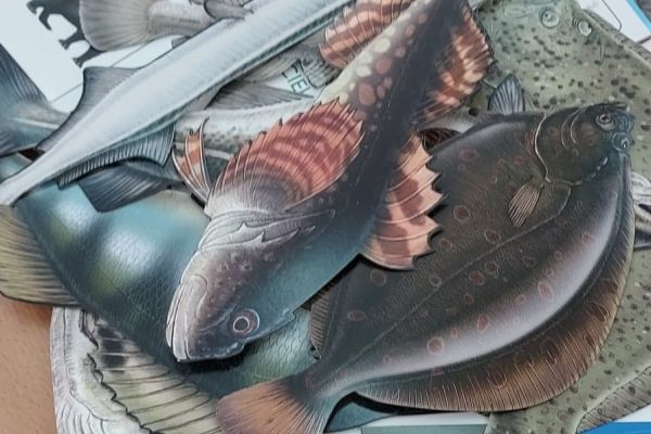 2A  w  Parku Krajobrazowym Dolina Słupi