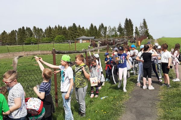 Wycieczka klasy 2b i 3c