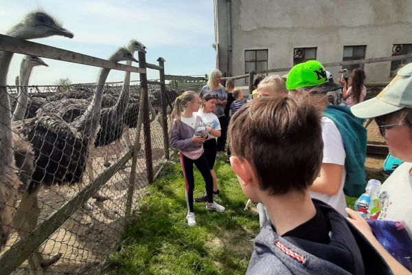 Wycieczka klasy 2b i 3c