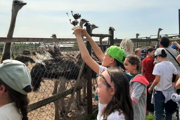 Wycieczka klasy 2b i 3c