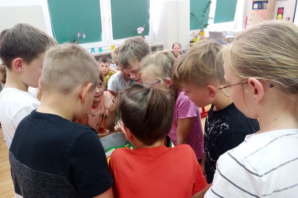 Mistrzowie planowania z 2a i 2c