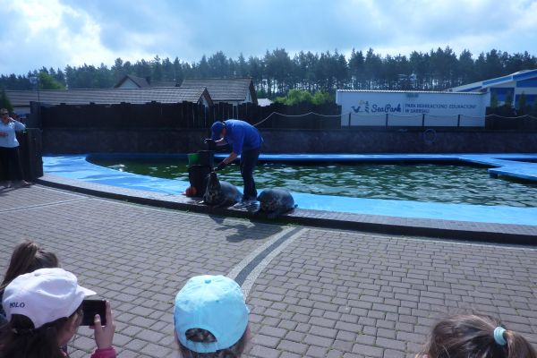 Wycieczka klas pierwszych do fokarium