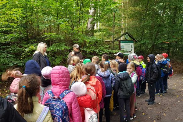 Wycieczka 3a i 3c do lasu