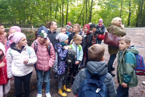 Wycieczka 3a i 3c do lasu