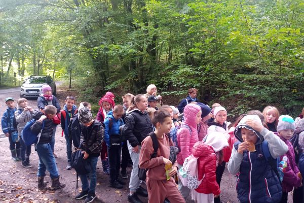 Wycieczka 3a i 3c do lasu