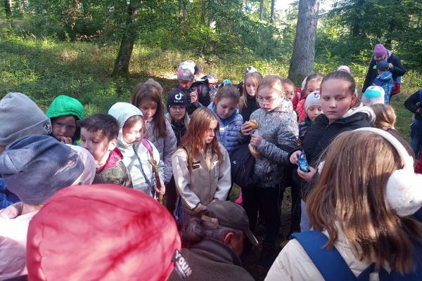 Wycieczka 3a i 3c do lasu