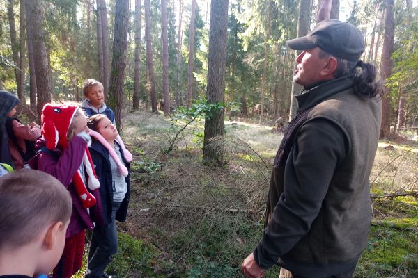 Wycieczka 3a i 3c do lasu