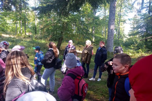Wycieczka 3a i 3c do lasu