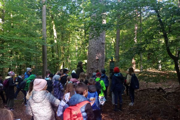 Wycieczka 3a i 3c do lasu