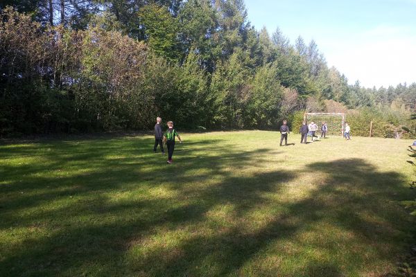 Wycieczka 3a i 3c do lasu