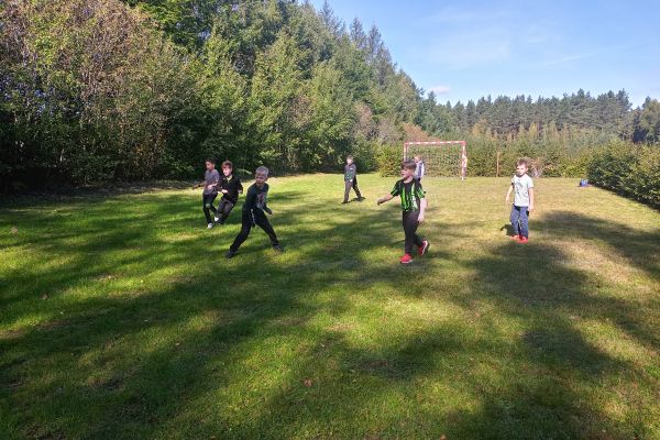 Wycieczka 3a i 3c do lasu