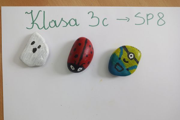 Słupskie kamyki w 3c