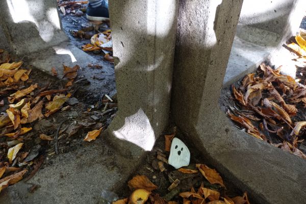 Jesień w parku - wycieczka klasy 3c