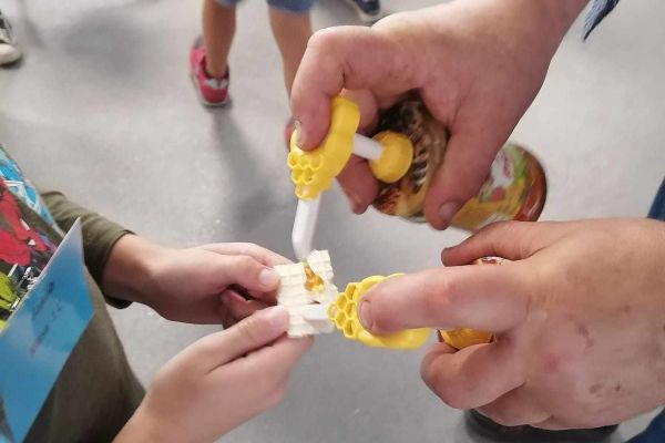 Warsztaty pszczelarskie