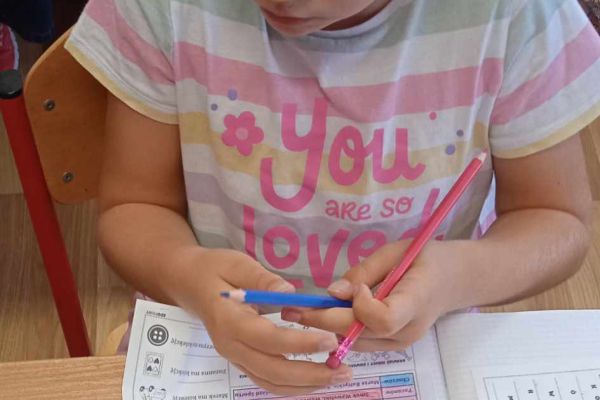 Ortograficzne portfolio - innowacja