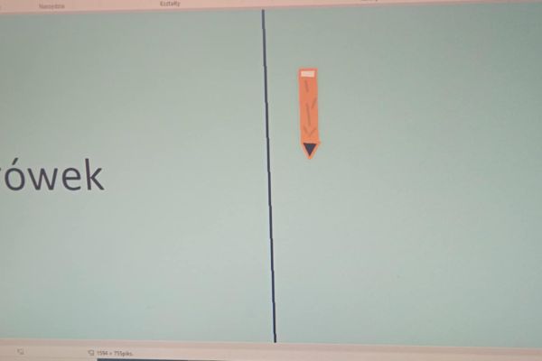 Ortograficzne portfolio - innowacja