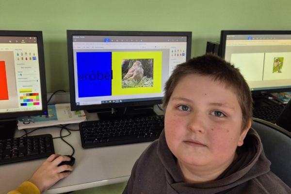 Ortograficzne portfolio - innowacja