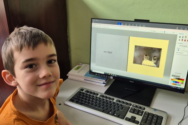 Ortograficzne portfolio - innowacja