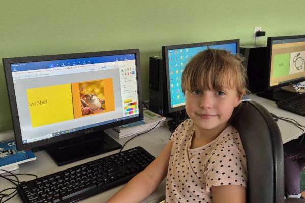 Ortograficzne portfolio - innowacja