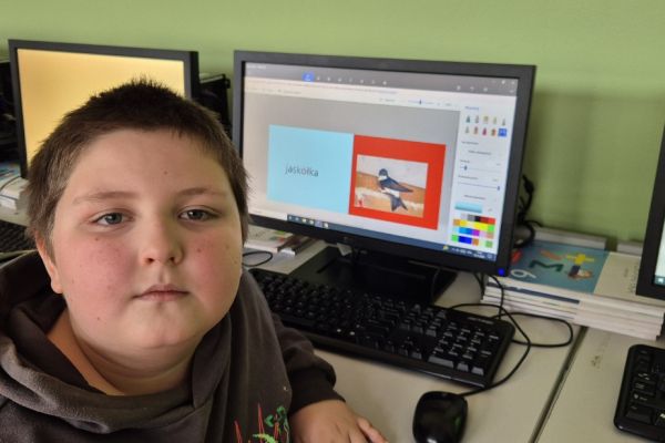 Ortograficzne portfolio - innowacja