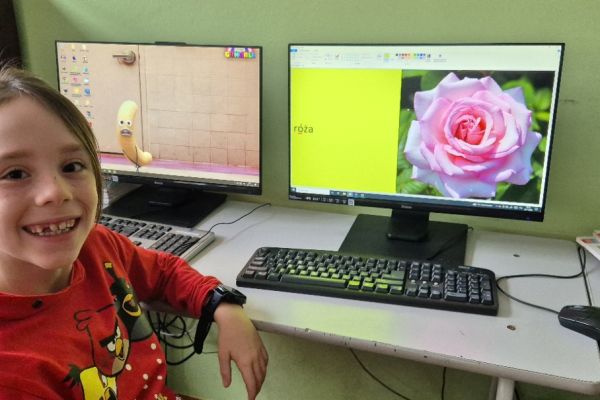 Ortograficzne portfolio - innowacja