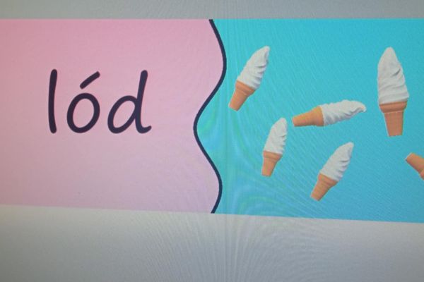 Ortograficzne portfolio - innowacja