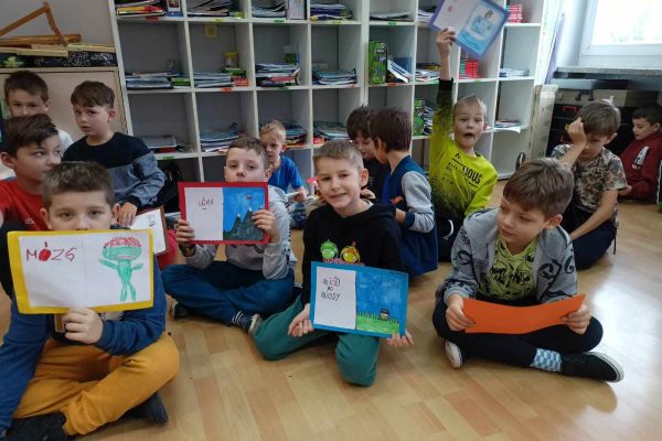 Ortograficzne portfolio - innowacja